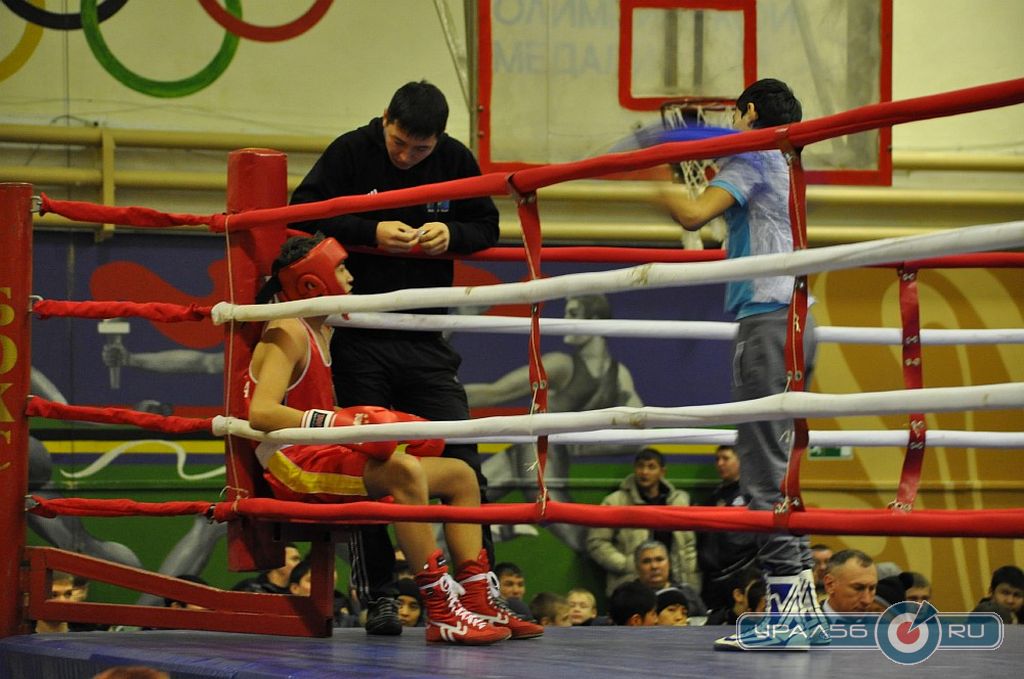 Всероссийский турнир по боксу проходит в Орске